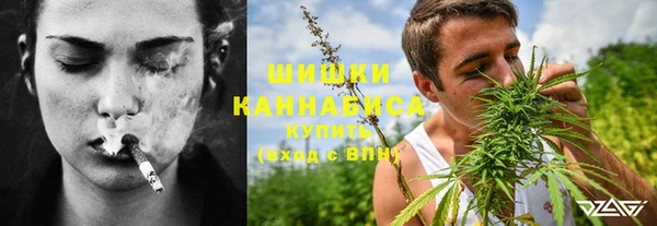 ПСИЛОЦИБИНОВЫЕ ГРИБЫ Чекалин