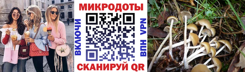 Купить где  Покров  Галлюциногенные грибы Psilocybe 